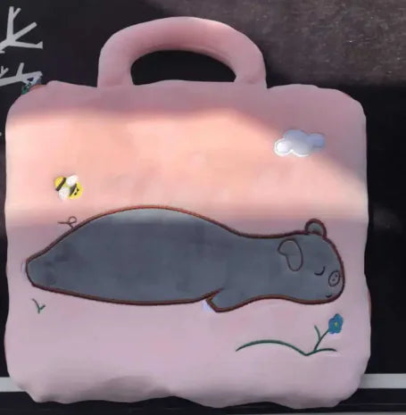 Functioneel cartoon kussen en deken